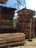 pallet-go-khu-cong-nghiep-tan-dong-hiep-di-an-binh-duong - ảnh nhỏ  1
