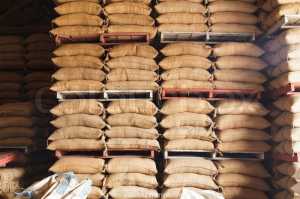 PALLET GỖ KHU CÔNG NGHIỆP MỸ PHƯỚC 3 TT.Mỹ Phước - H.Bến Cát - Bình Dương