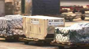 PALLET GỖ VÁN ÉP KHU CÔNG NGHIỆP TÂN BÌNH Quận Tân Bình - TP.HCM