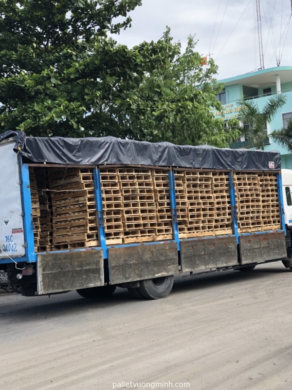 Công trình đóng thuê pallet gỗ lót kê gạo 8000 cái