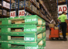 pallet-go-dai-loan-1200x1000x150-mau-xanh-su-dung-trong-kho - ảnh nhỏ 8