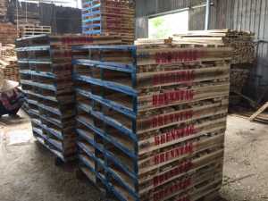 Pallet bằng gỗ 1000x1200 2 cổng chân dày