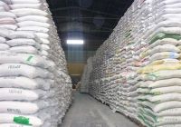 Pallet gỗ tràm chuyên dùng lót sàn ở Đồng Nai