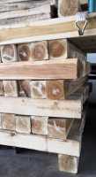 Bảng giá Gỗ Tràm Pallet