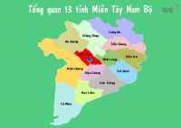 Giao hàng Pallet Gỗ Với Bán Kính 500 km